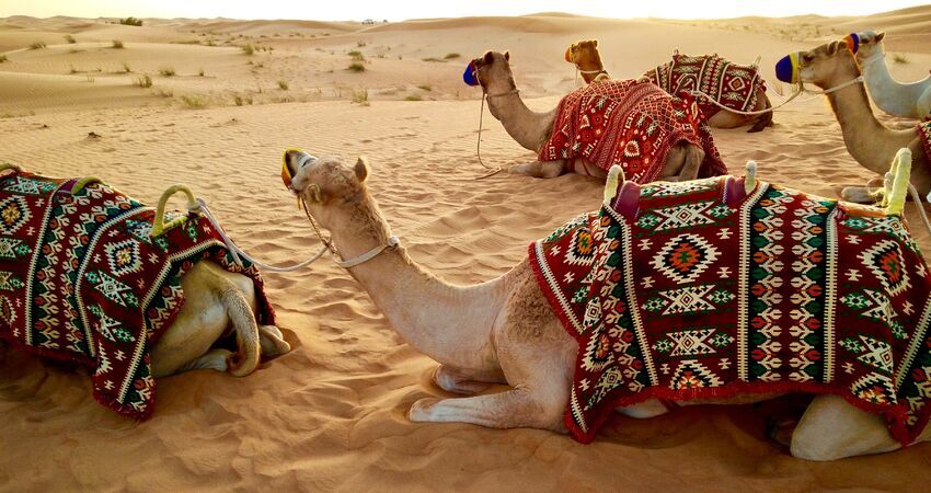 İZMİR'DEN DUBAİ TURU